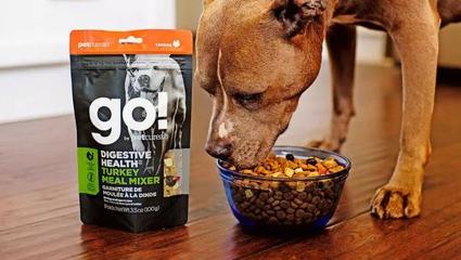 精彩創(chuàng)意設(shè)計(jì)——寵物糧食品類新趨勢(shì)