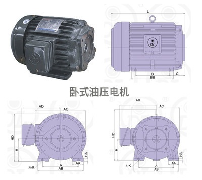 如何選擇高效穩(wěn)定的油泵電機(jī)？從價(jià)格到性能的全方位解析